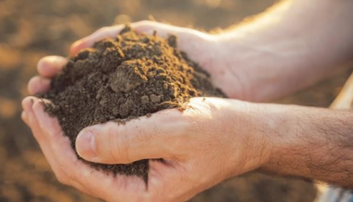 稀土礦多少錢一噸？現(xiàn)在是漲了還是降了？